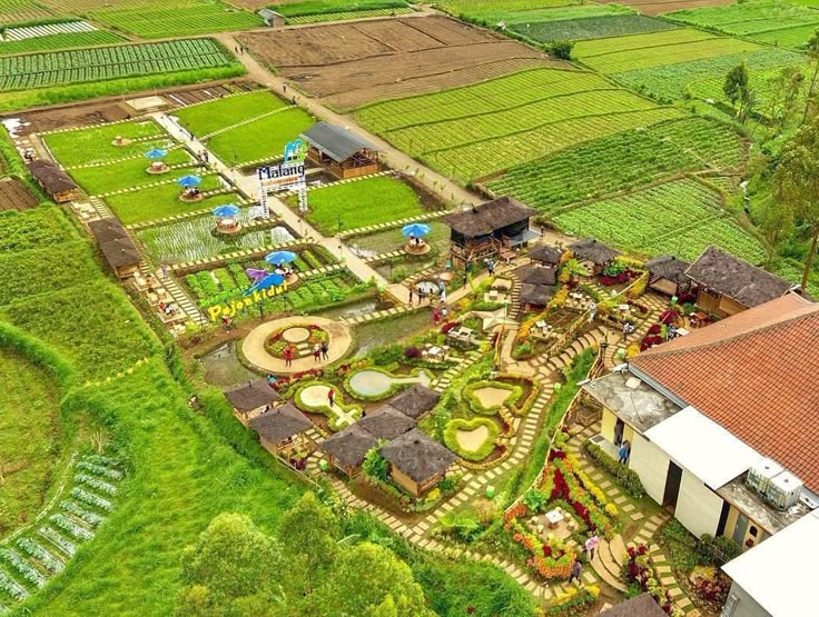 Wisata Berkelanjutan: Harmoni Alam dan Budaya Lokal